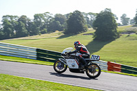 Vintage-motorcycle-club;eventdigitalimages;mallory-park;mallory-park-trackday-photographs;no-limits-trackdays;peter-wileman-photography;trackday-digital-images;trackday-photos;vmcc-festival-1000-bikes-photographs